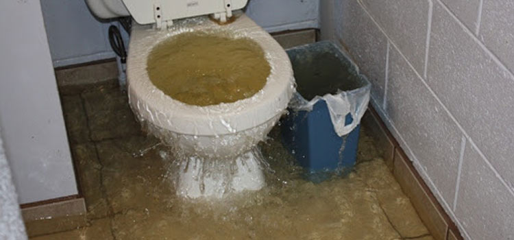 Blocked Toilet Fix UAE